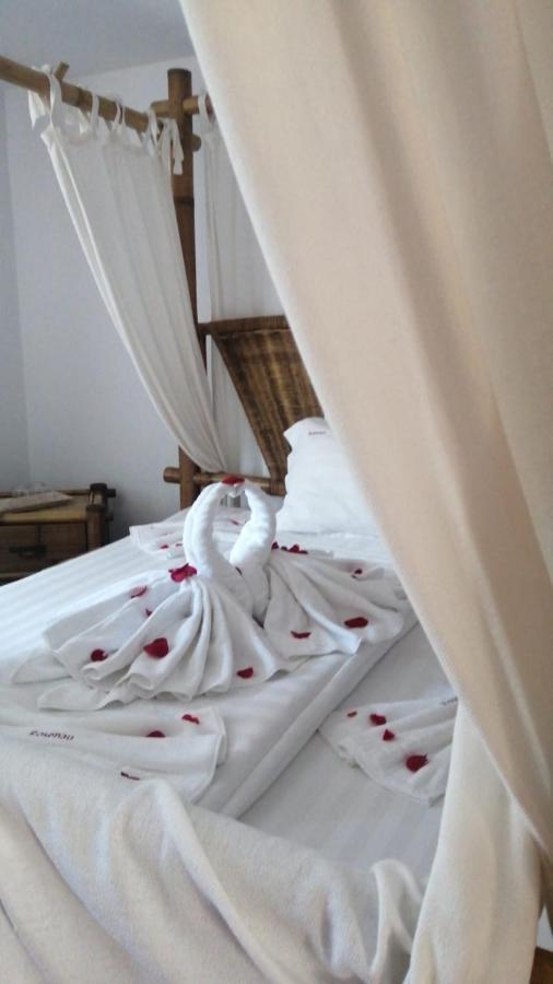Pensiunea Rosenau Rîşnov Luaran gambar